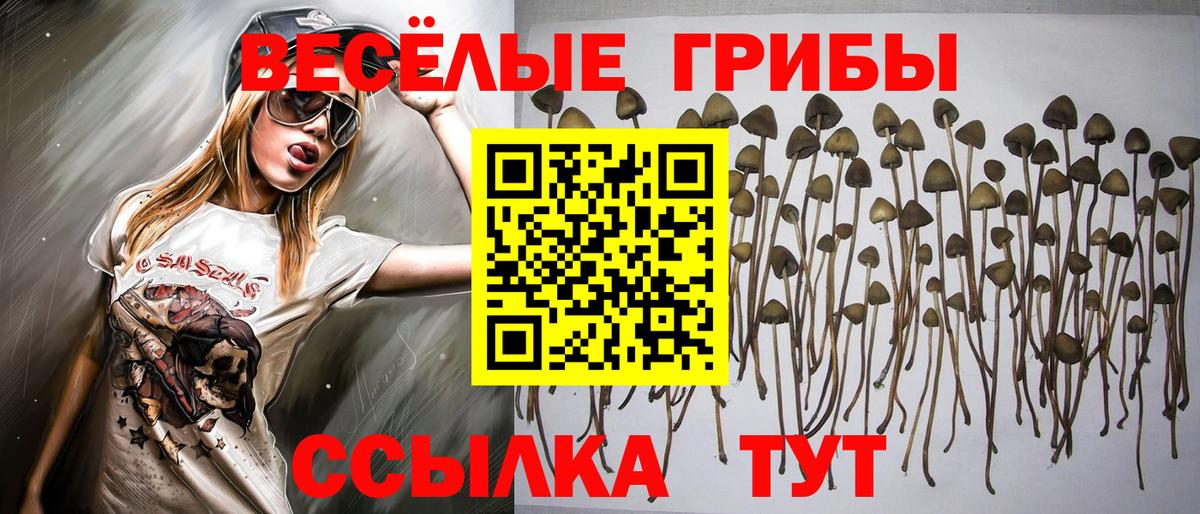 Галлюциногенные грибы Psilocybine cubensis  Псилоцибиновые грибы мицелий  Вход с VPN  Ялта 