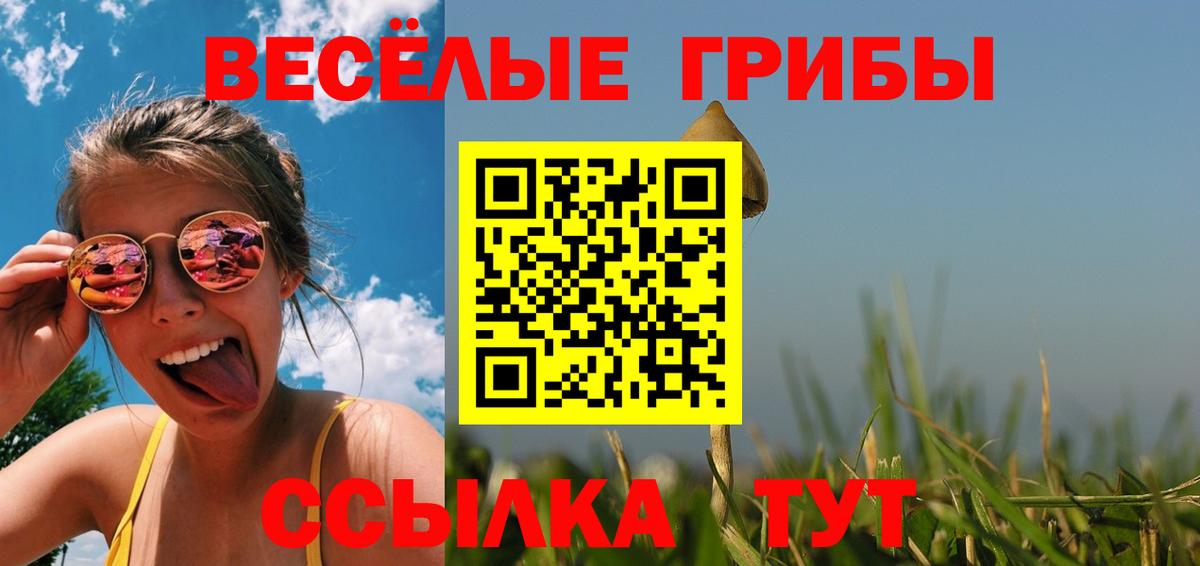 Псилоцибиновые грибы Psilocybe Ялта